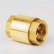 Brass Spring Check Valve