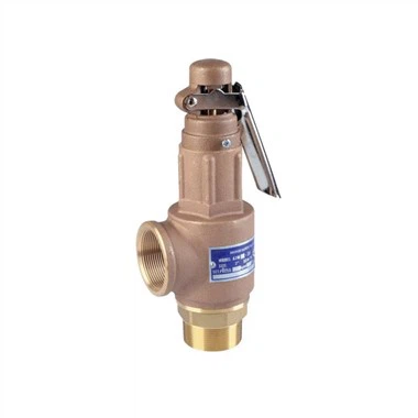 Bronze Safety Relief Valve